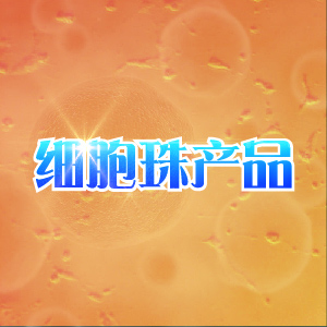 鼎国自产 CS0153 UMNSAH/DF-1 鸡胚成纤维细胞 现货供应7个工作日